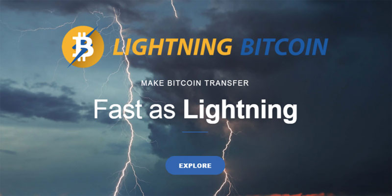 Итоги стартапов, занимающихся реализацией Lightning-сети