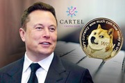 Новости криптовалют об Илоне Маске и Dogecoin