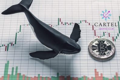 Новости криптовалют о биткоин-китах